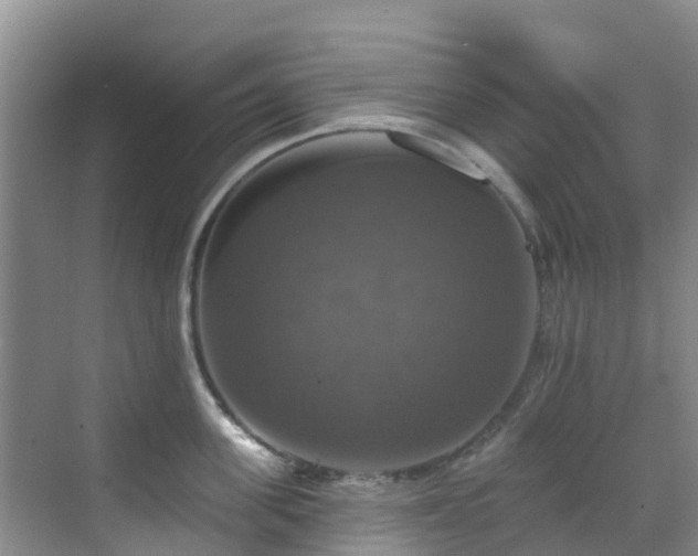 X0000068840955200605081236