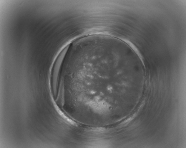 X0000068840957200605081236