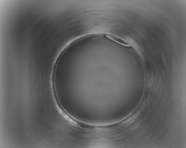 X0000068840958200605081236