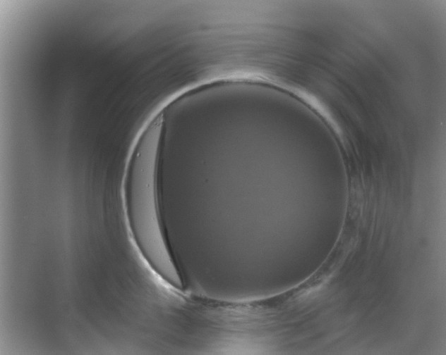 X0000068840959200605081236