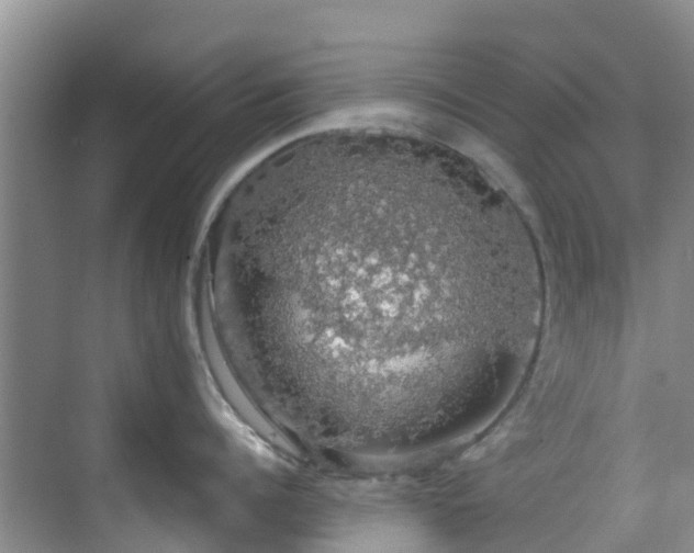 X0000068840960200605081236