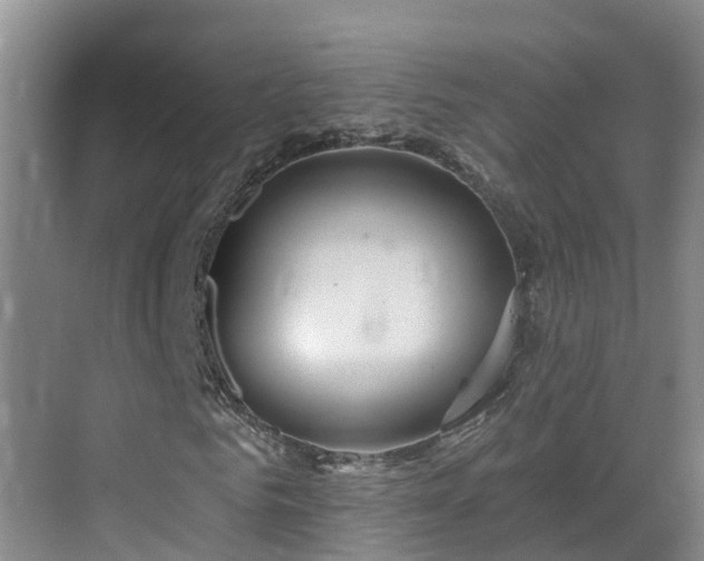 X0000068840961200605081235