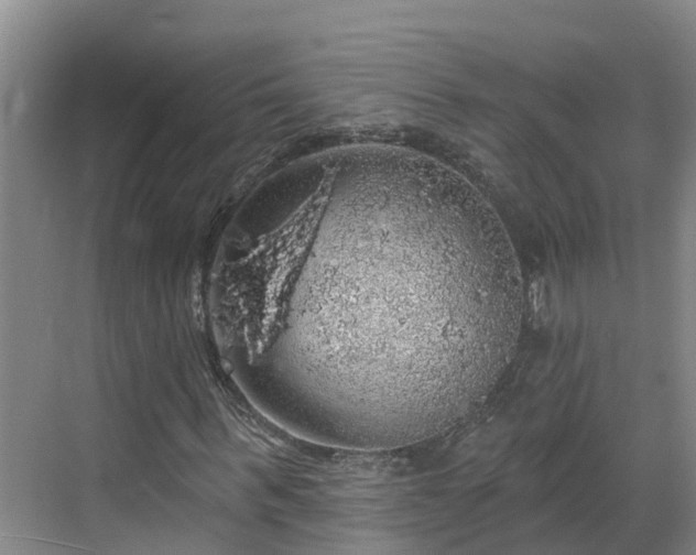 X0000068840963200605081235