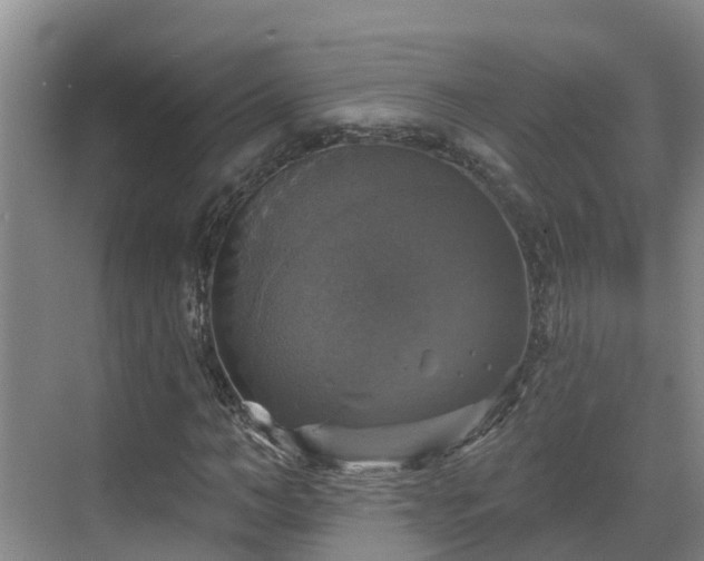 X0000068840966200605081235