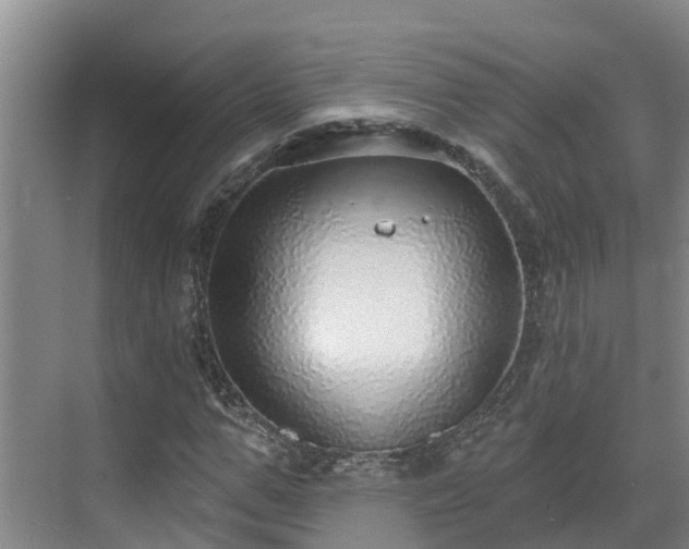 X0000068840967200605081235