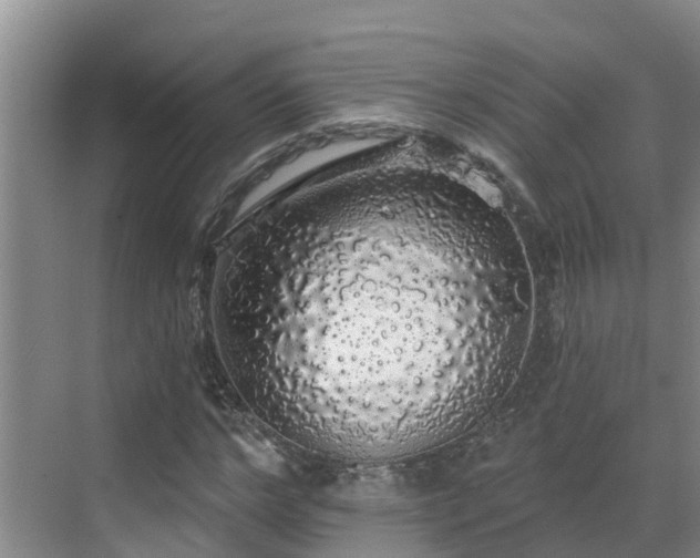 X0000068840968200605081235