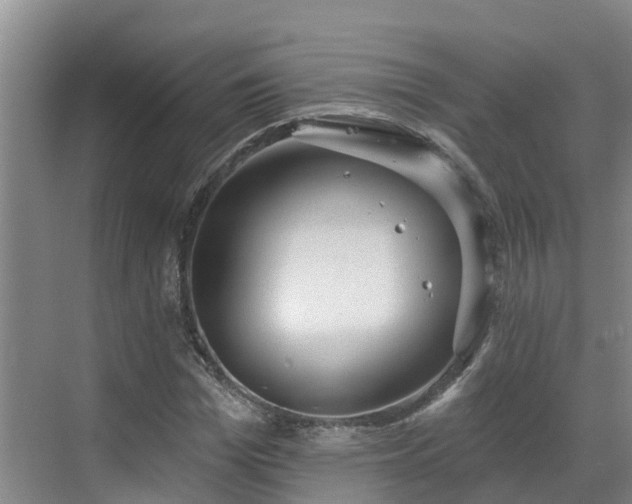 X0000068840969200605081235