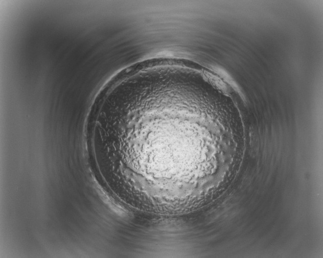 X0000068840972200605081235