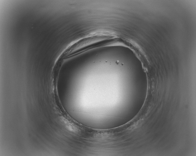 X0000068840973200605081235