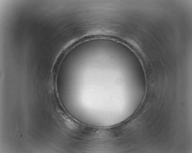 X0000068840974200605081235