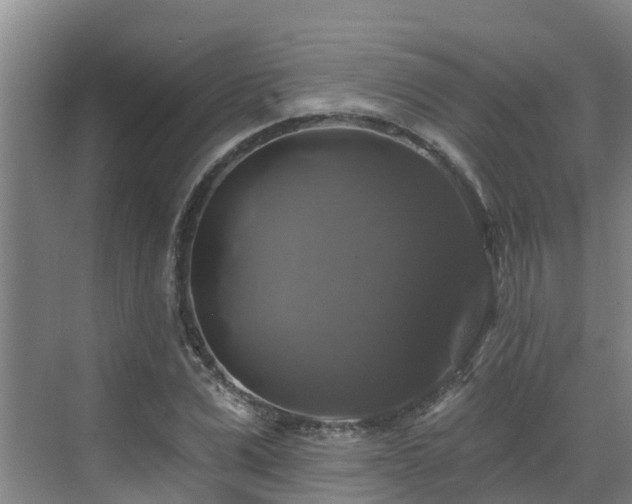 X0000068840975200605081235