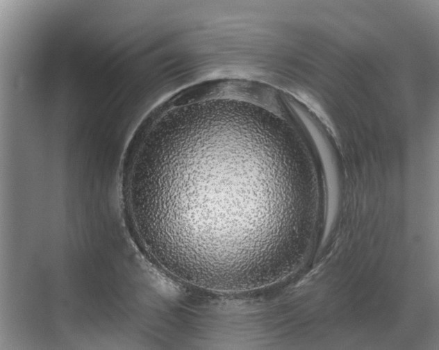 X0000068840976200605081235