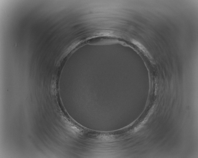 X0000068840977200605081235