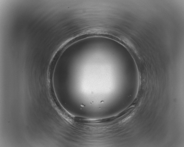 X0000068840981200605081235