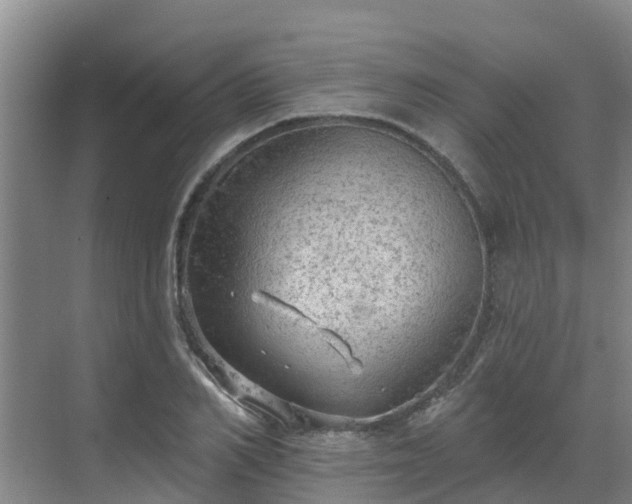 X0000068840982200605081235