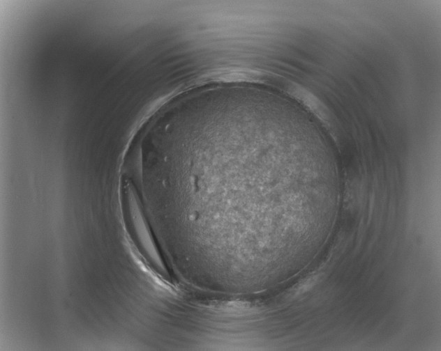 X0000068840986200605081235