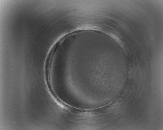 X0000068840990200605081235