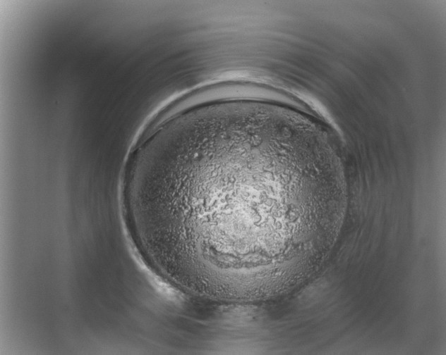 X0000068840991200605081235