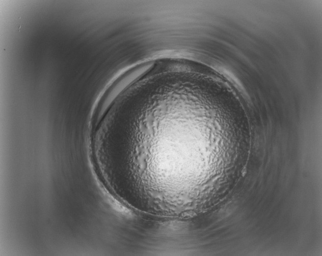 X0000068840992200605081234