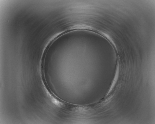 X0000068840995200605081234