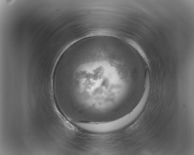 X0000068840996200605081234