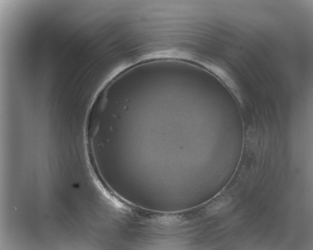 X0000068840998200605081234