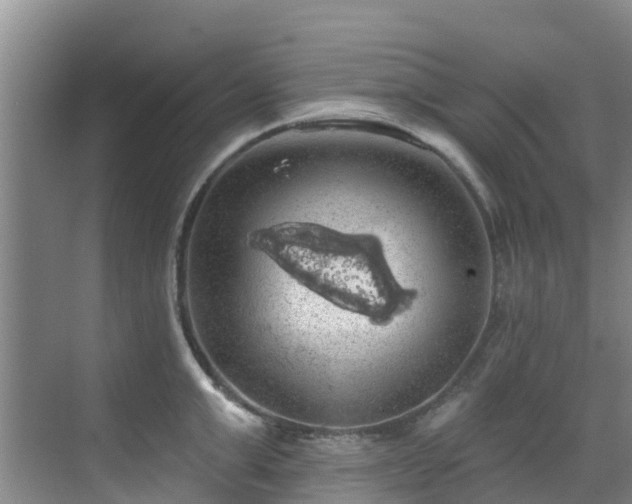 X0000068840999200605081234