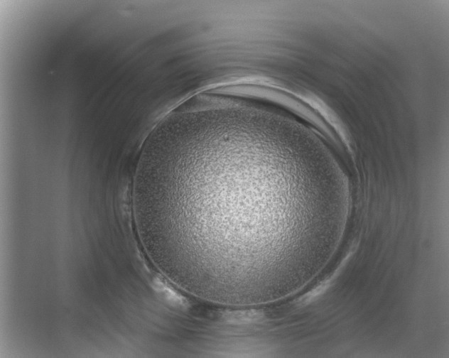 X0000068841001200605081234