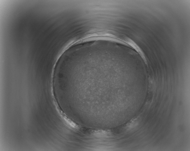 X0000068841002200605081234