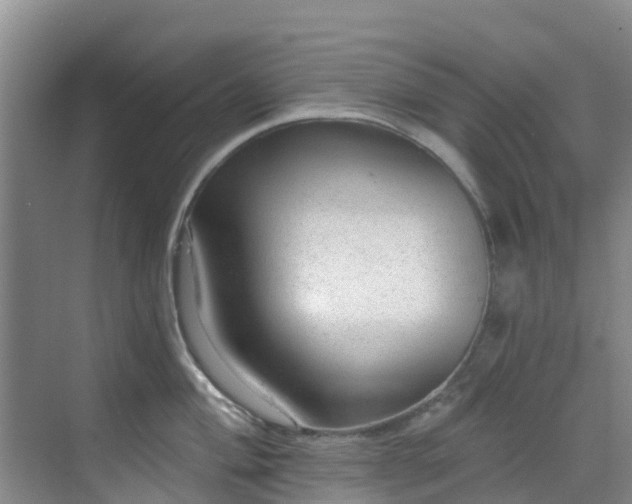 X0000068841004200605081234