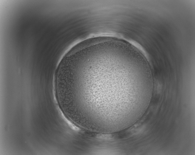 X0000068841006200605081234