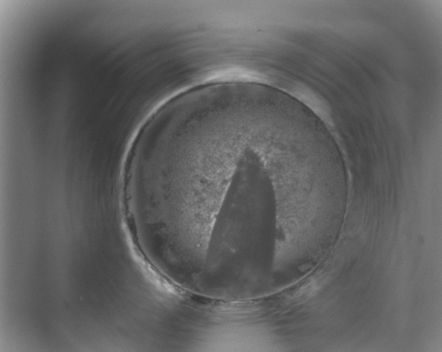 X0000068841008200605081234