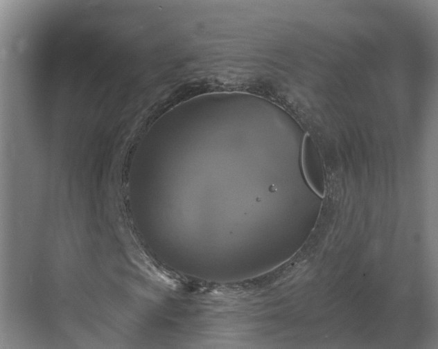 X0000068841009200605081233