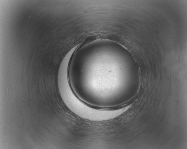 X0000068841010200605081233