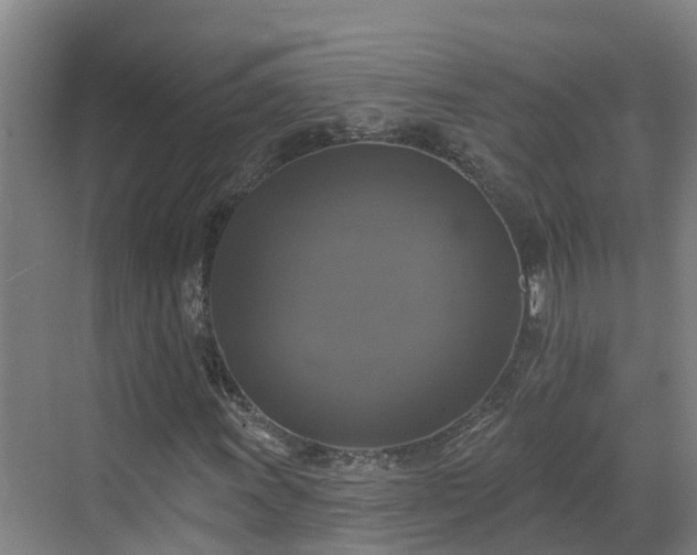 X0000068841011200605081233