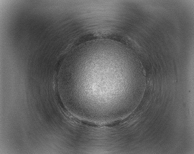 X0000068841012200605081233