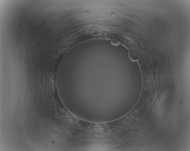 X0000068841013200605081233