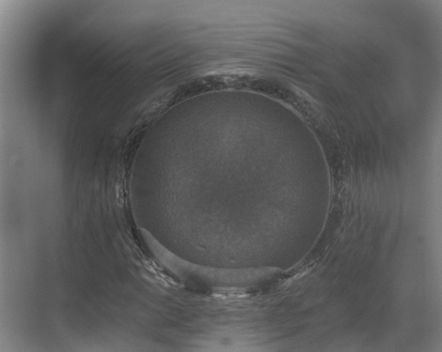 X0000068841014200605081234