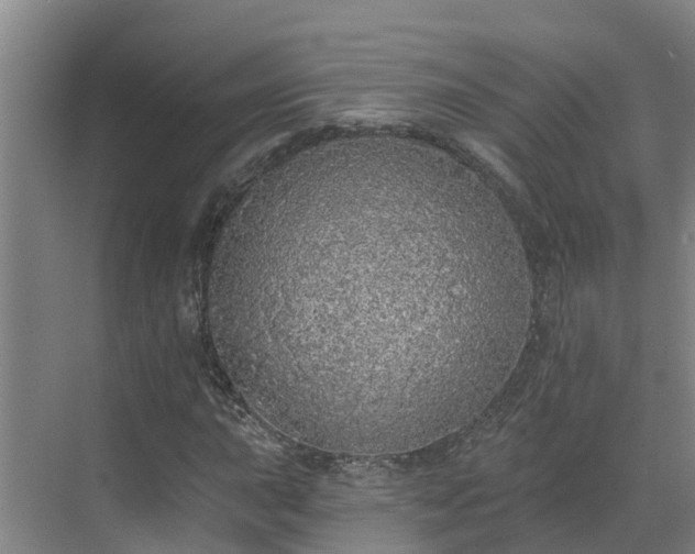 X0000068841015200605081234