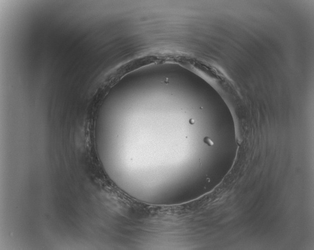 X0000068841016200605081234