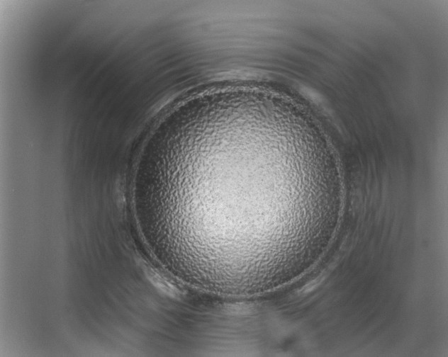 X0000068841017200605081234