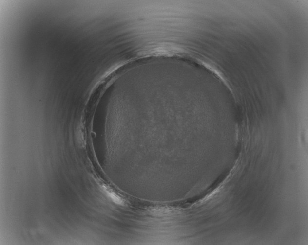 X0000068841018200605081234