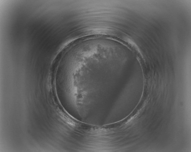 X0000068841019200605081234