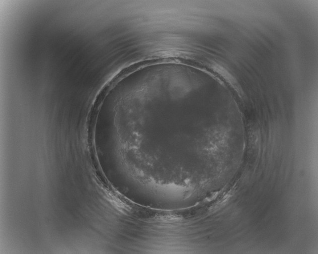 X0000068841023200605081234