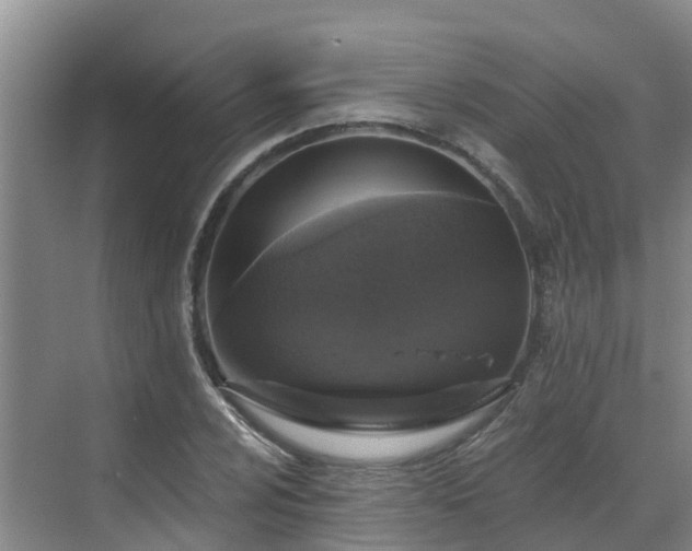 X0000068841024200605081234