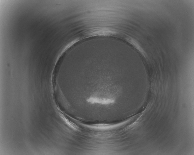 X0000068841026200605081234