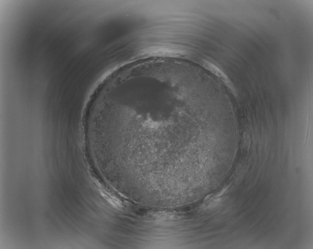 X0000068841027200605081234