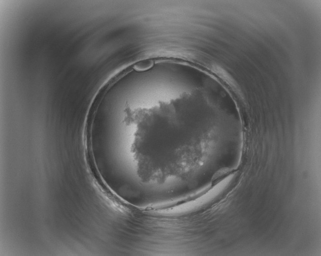 X0000068841028200605081234