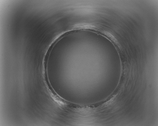 X0000068841031200605081234