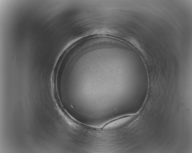 X0000068841032200605081234